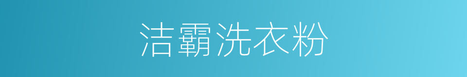 洁霸洗衣粉的同义词