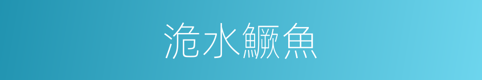 洈水鱖魚的同義詞