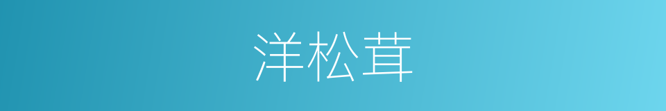 洋松茸的同义词
