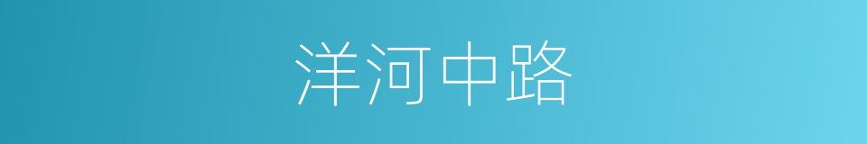 洋河中路的同义词