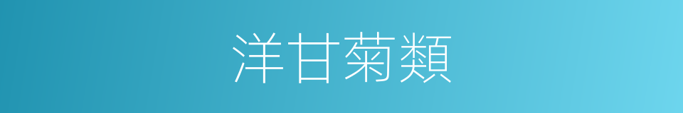 洋甘菊類的同義詞
