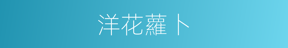 洋花蘿卜的同義詞