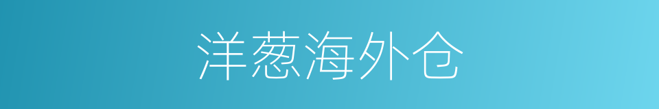 洋葱海外仓的同义词