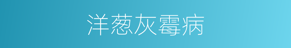 洋葱灰霉病的同义词