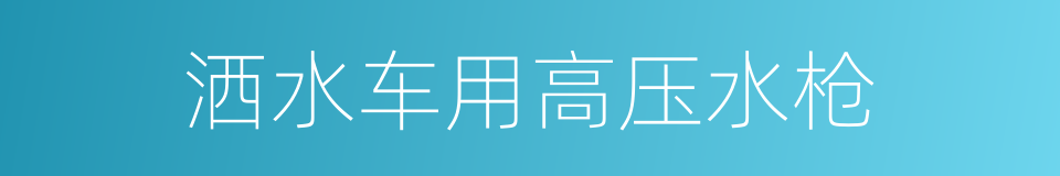 洒水车用高压水枪的同义词