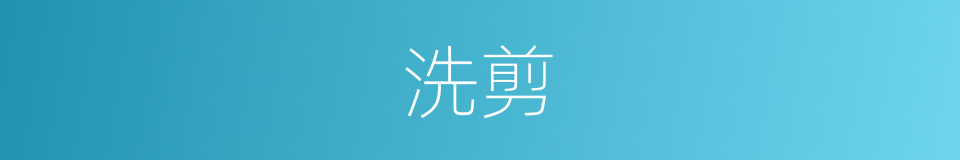 洗剪的同义词