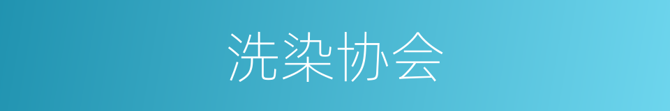 洗染协会的同义词