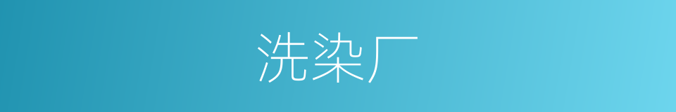 洗染厂的同义词
