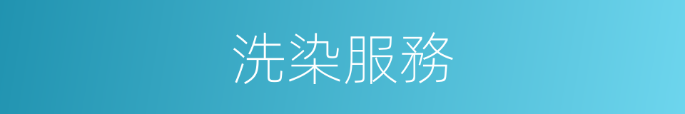 洗染服務的同義詞