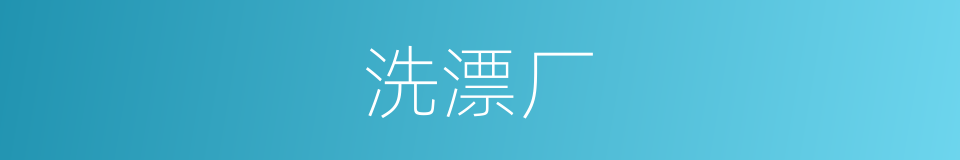 洗漂厂的同义词