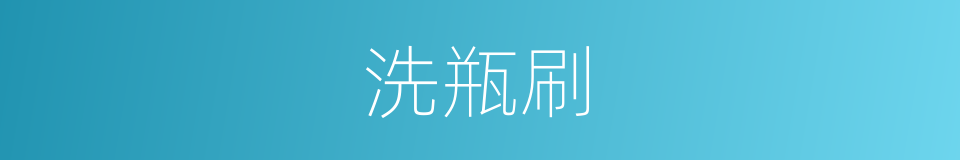 洗瓶刷的同义词