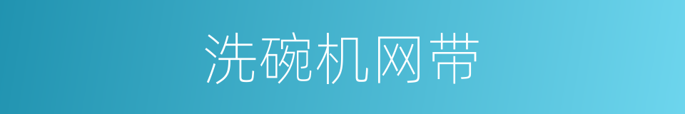 洗碗机网带的同义词
