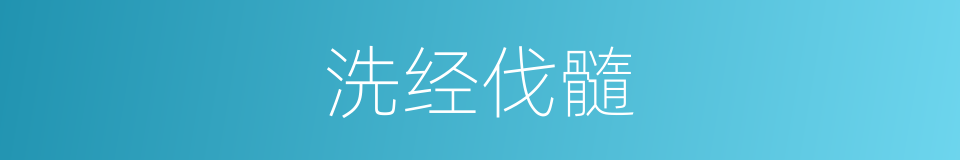 洗经伐髓的意思