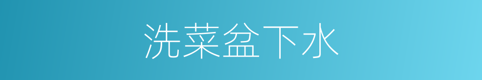 洗菜盆下水的同义词