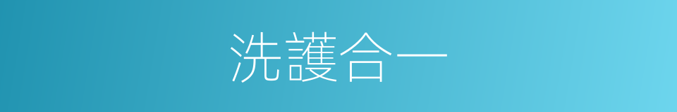 洗護合一的同義詞