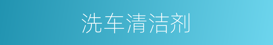 洗车清洁剂的同义词