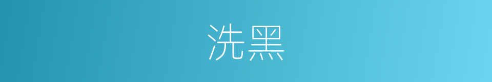 洗黑的同义词