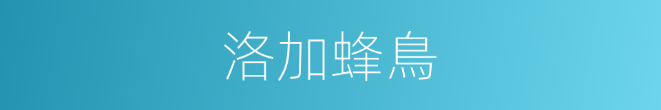 洛加蜂鳥的同義詞