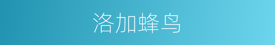 洛加蜂鸟的同义词