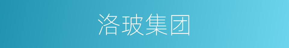 洛玻集团的同义词