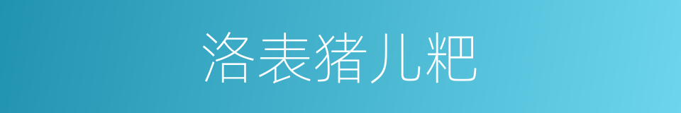 洛表猪儿粑的同义词