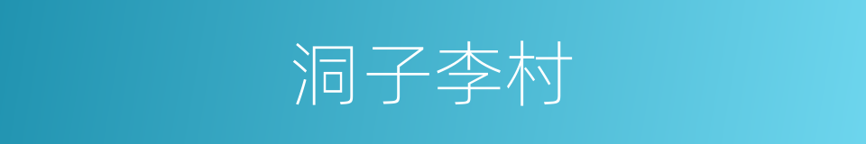 洞子李村的同义词