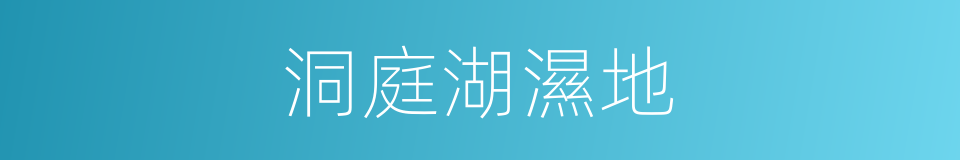 洞庭湖濕地的同義詞