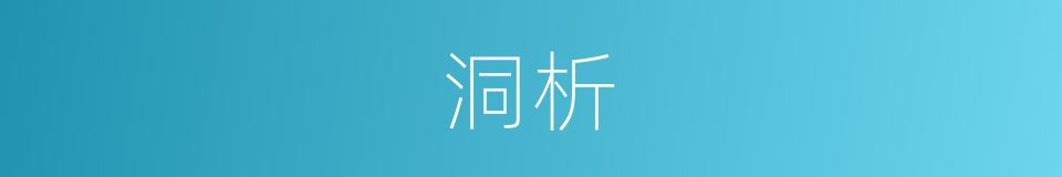 洞析的同义词