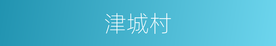 津城村的同义词