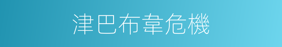 津巴布韋危機的同義詞