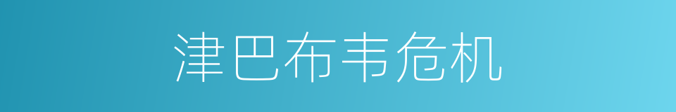 津巴布韦危机的同义词