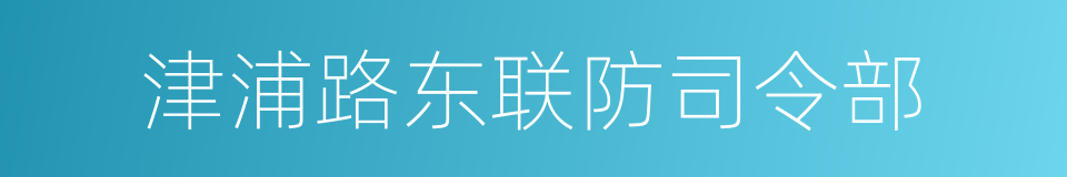 津浦路东联防司令部的同义词