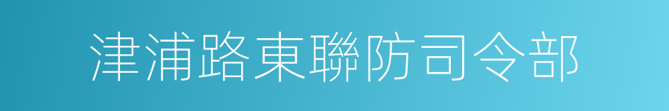 津浦路東聯防司令部的同義詞