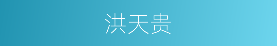 洪天贵的同义词
