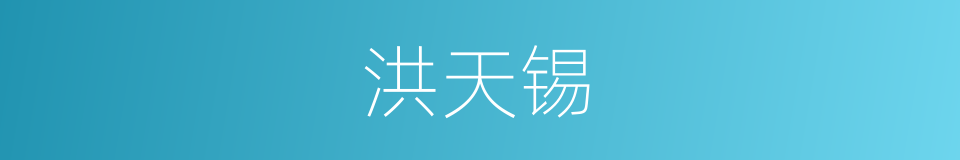 洪天锡的同义词