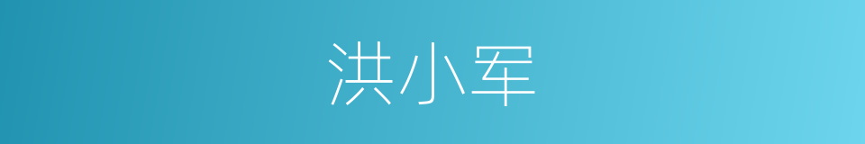 洪小军的同义词