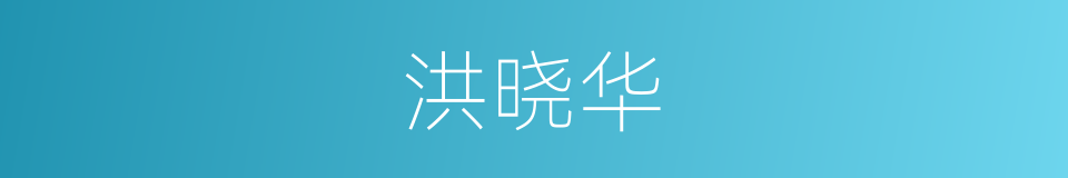 洪晓华的同义词