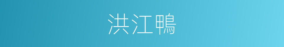 洪江鴨的同義詞