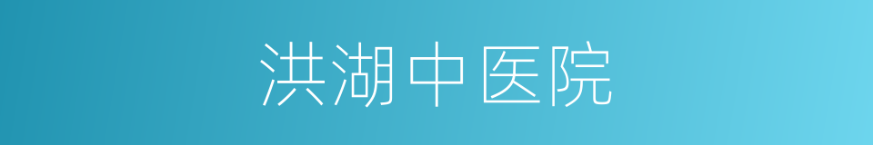 洪湖中医院的同义词