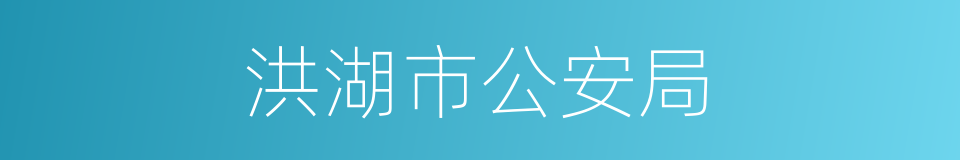 洪湖市公安局的同义词