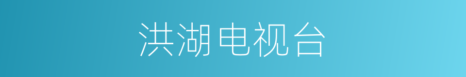 洪湖电视台的同义词