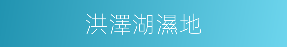 洪澤湖濕地的同義詞