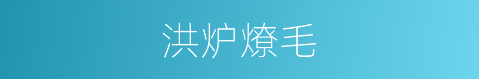 洪炉燎毛的意思