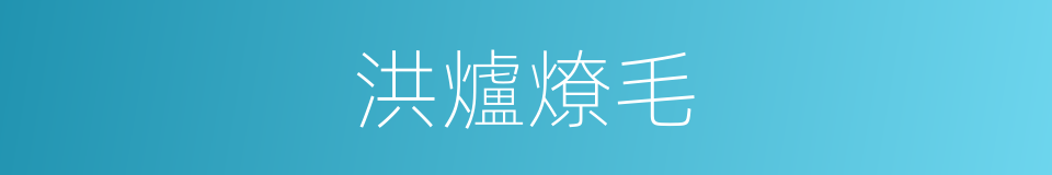 洪爐燎毛的意思