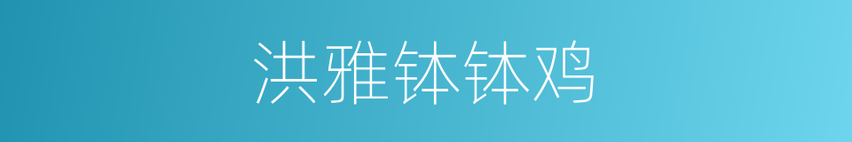 洪雅钵钵鸡的同义词