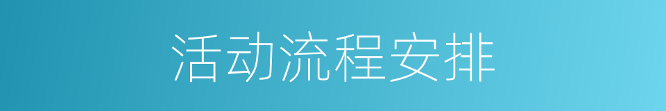 活动流程安排的同义词