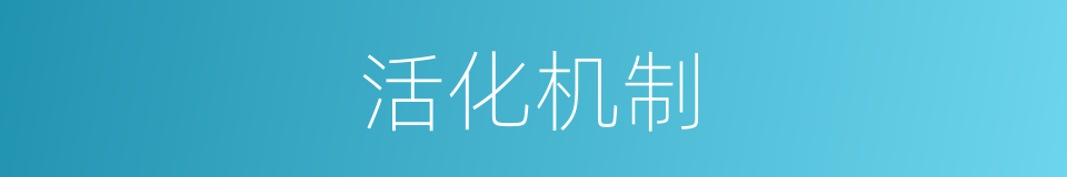活化机制的同义词