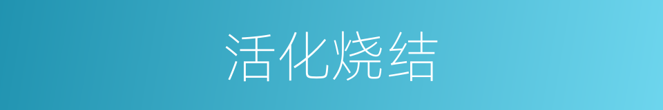 活化烧结的同义词