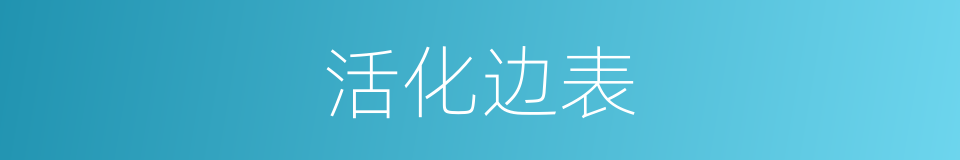 活化边表的同义词