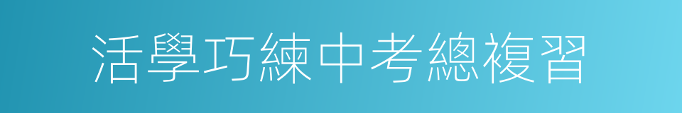 活學巧練中考總複習的同義詞